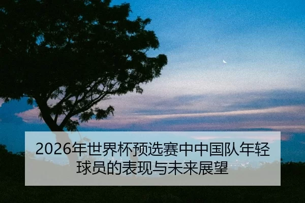 nian-shi-jie-bei-yu-xuan-sai-zhong-zhong-guo-dui-nian-qing-qiu-yuan-de-biao-xian-yu-wei-lai-zhan-wang-2-436.jpg