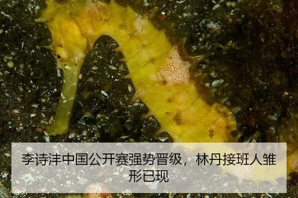 li-shi-feng-zhong-guo-gong-kai-sai-qiang-shi-jin-ji-lin-dan-jie-ban-ren-chu-xing-yi-xian-2-635.jpg