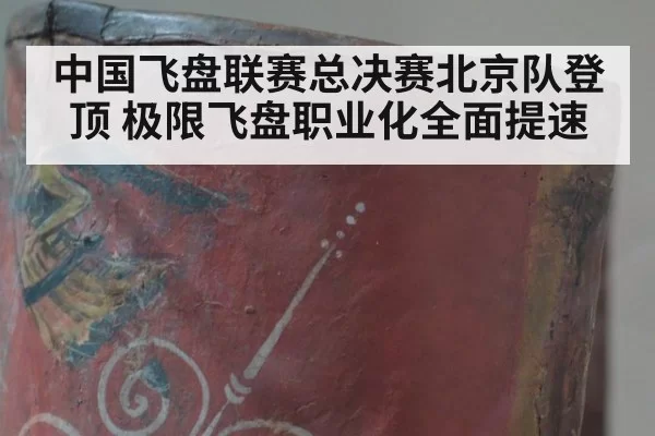 中国飞盘联赛总决赛北京队登顶 极限飞盘职业化全面提速